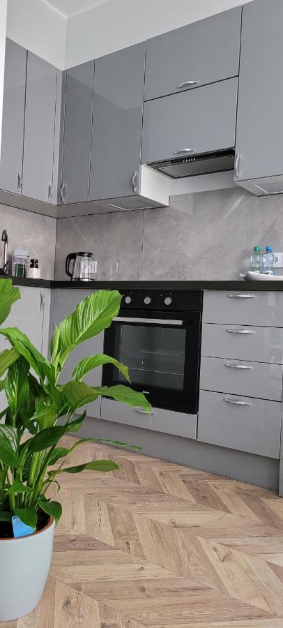 Apartament Srebrny Appartement Grudziądz Buitenkant foto